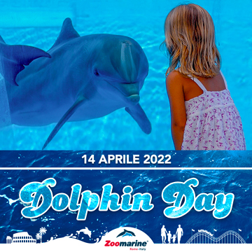 GIORNATA DEL DELFINO